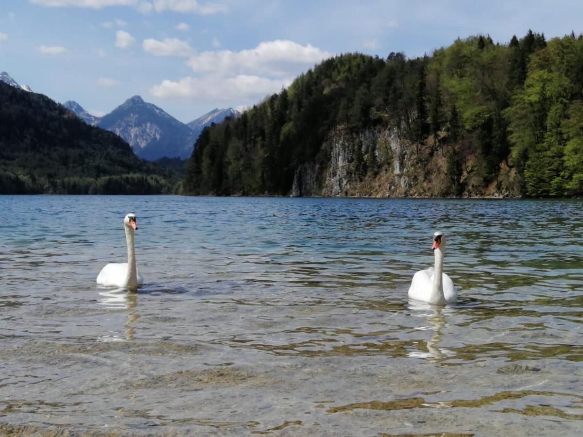 Landgasthof Zum Alten Reichenbach Nesselwang Buitenkant foto